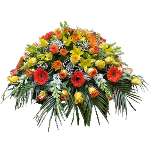 Casket with yellow rose and yellow rose with orange border, yellow lilies, orange Gerberas, orange spiders, solidago and white snap