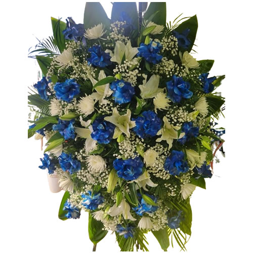 Strong blue rose, white spider, white lily, baby's breath, tilips, robellini and lemon