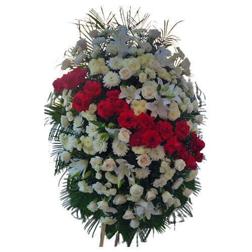 White rose, red rose, white lily, white chrysanthemum, white pampas, white rose spray, robellini and lemon