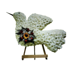 Funeral Dove 4